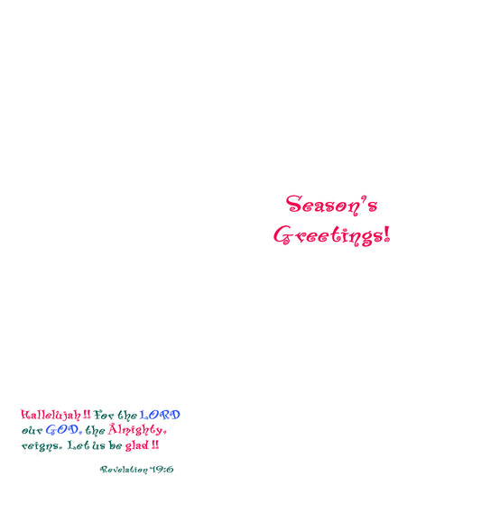 A Very Merry Christmas - Christmas Amaryllis Note Card (Single Card)